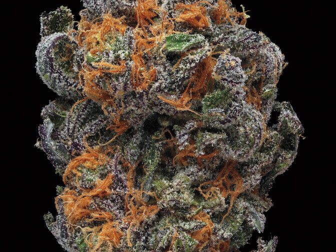 GDP (Granddaddy Purple). Smell/taste: grape, creamy, berry. Common effects: euphoria, relaxed, body buzz. Top medicinal uses: appetite and pain.