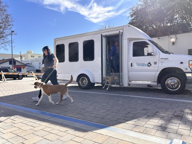 A woman is walking away from a white van with a brown and white dog walking next to her on a leash. Another man is walking out of the open doors of the van, with another brown dog pulling him towards the outside and other dog. The van says "San Diego Humane Society" on the passenger door.