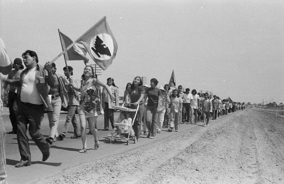 Young families join La Marcha de la Reconquista along a dusty highway through the farm land of Southern California. 1971.