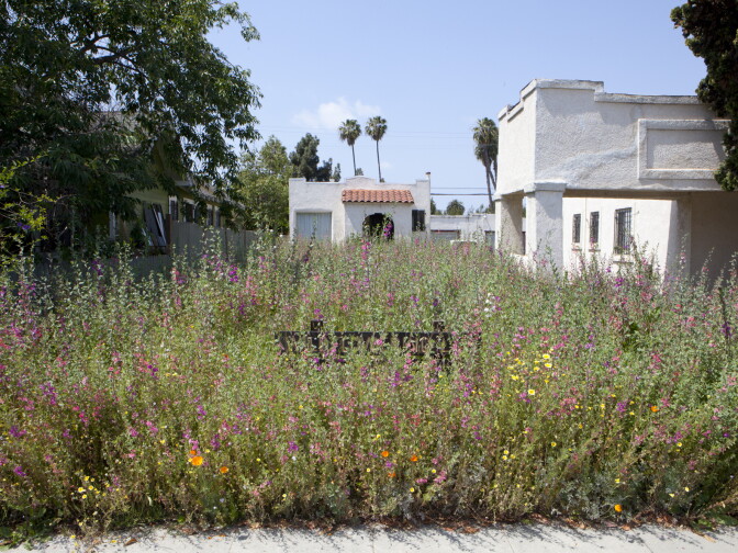 Fritz Haeg, Wildflowering L.A., 2013-2014.  A LAND (Los Angeles Nomadic Division) Exhibition. Image courtesy of Isabel Avila.