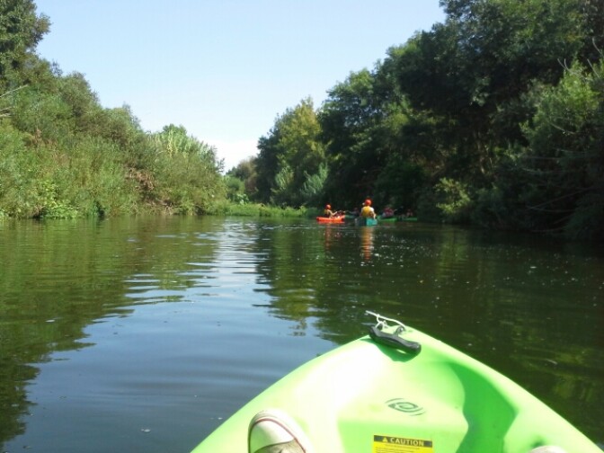 "Imagine if we were able to create park space in the middle of our most populated areas where you can sit and watch birds, sunlight on water and a river." —Michelle Lesse