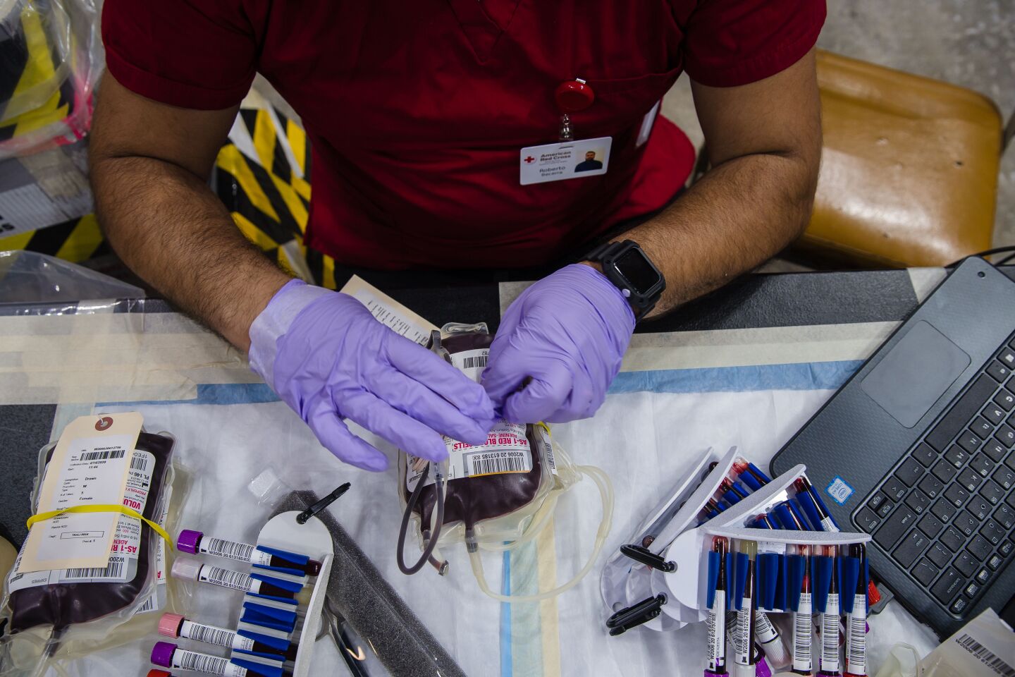 A person wearing purple loves works on a bag of donated blood. Blood vials and a laptop keyboard are also visible.