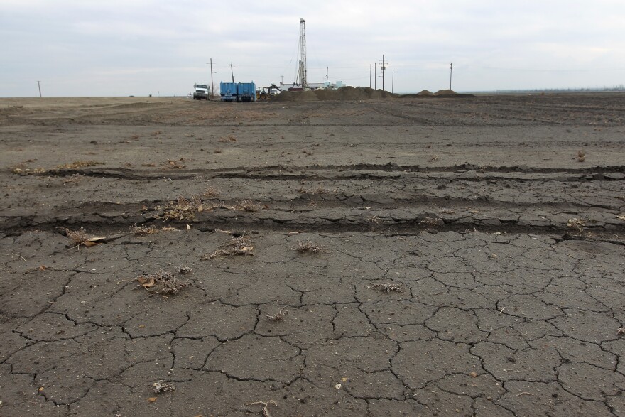 Workers drill for water for a farmer on February 6, 2014 near Bakersfield, California. Now in its third straight year of unprecedented drought, California is experiencing its driest year on record, dating back 119 years and possible the worst in the past 500 years. Grasslands that support cattle have dried up, forcing ranchers to feed them expensive supplemental hay to keep them from starving or to sell at least some of their herds, and farmers are struggling with diminishing crop water and whether to plant or to tear out permanent crops which use water year-round like almond trees. About 17 rural communities could run out of drinking water within several weeks and politicians are pushing to undo laws that protect several endangered species.   
