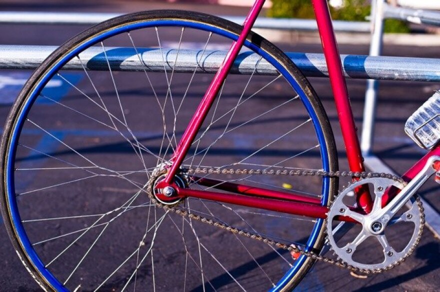 santa-monica-bicycle-license2.jpg
