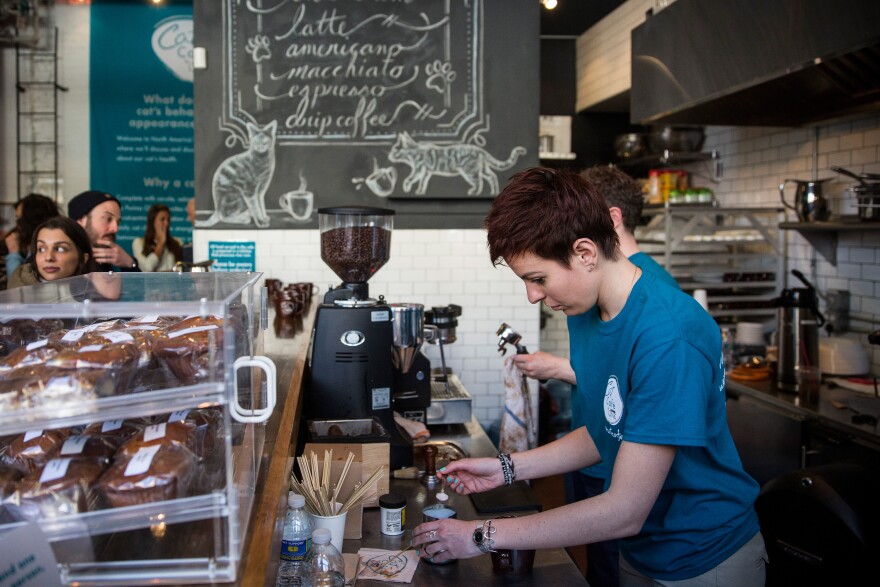 A barista makes a "cat'achino" at the pop-up shop "Cat Cafe" on April 24, 2014 in New York City. The cafe, which has been created Purina One cat food, serves complimentary coffee and bakery items, and has a variety cats roaming throughout the space that visitors can adopt. 
