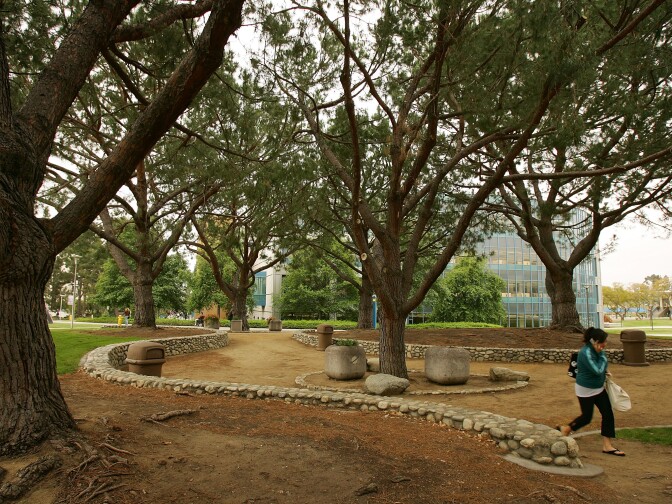 FULLERTON, CA - APRIL 17:  A memorial grove of seven pine trees honors seven people killed by a gunman July 12, 1976 inside the California State University, Fullerton library, visible in the background, April 17, 2007 in Fullerton, California. Janitor Edward Allaway said later that he went on his killing spree after being taunted by co-workers that gay men were plotting to kill him. Allaway was found innocent by reason of insanity by a judge after the jury was unable to reach a verdict. He remains confined at Patton State Hospital.  (Photo by David McNew/Getty Images)