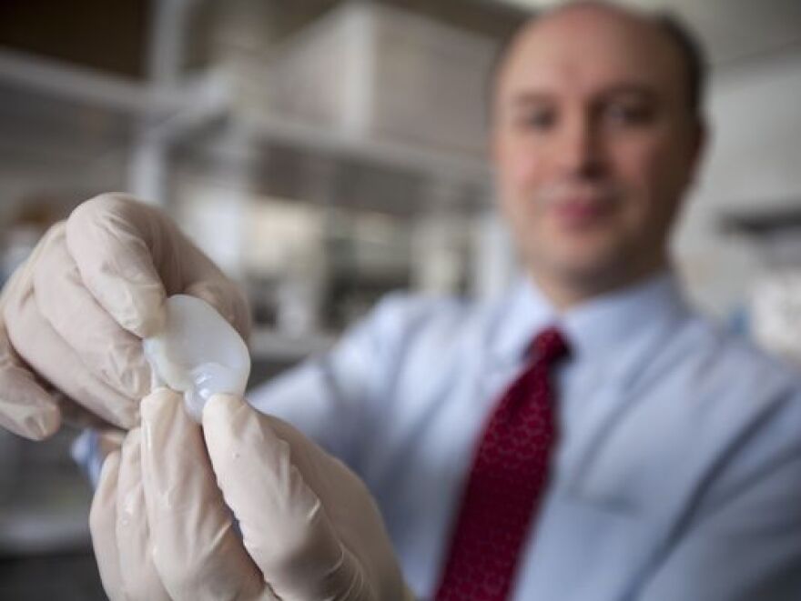 Cornell University biomedical engineer Lawrence Bonassar holds the scaffolding for an ear. His laboratory is using a 3-D printer and cartilage-producing cells to create the ear.