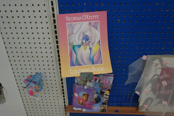 A photo of a book on a shelf with the words "Georgia O'Keeffe Coloring Book" on the cover.