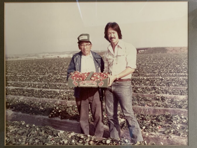 Two men are seen in a strawberry field, one on the older side and one about middle aged. They are jointly holding a large box of strawberries up, presenting it to the camera.