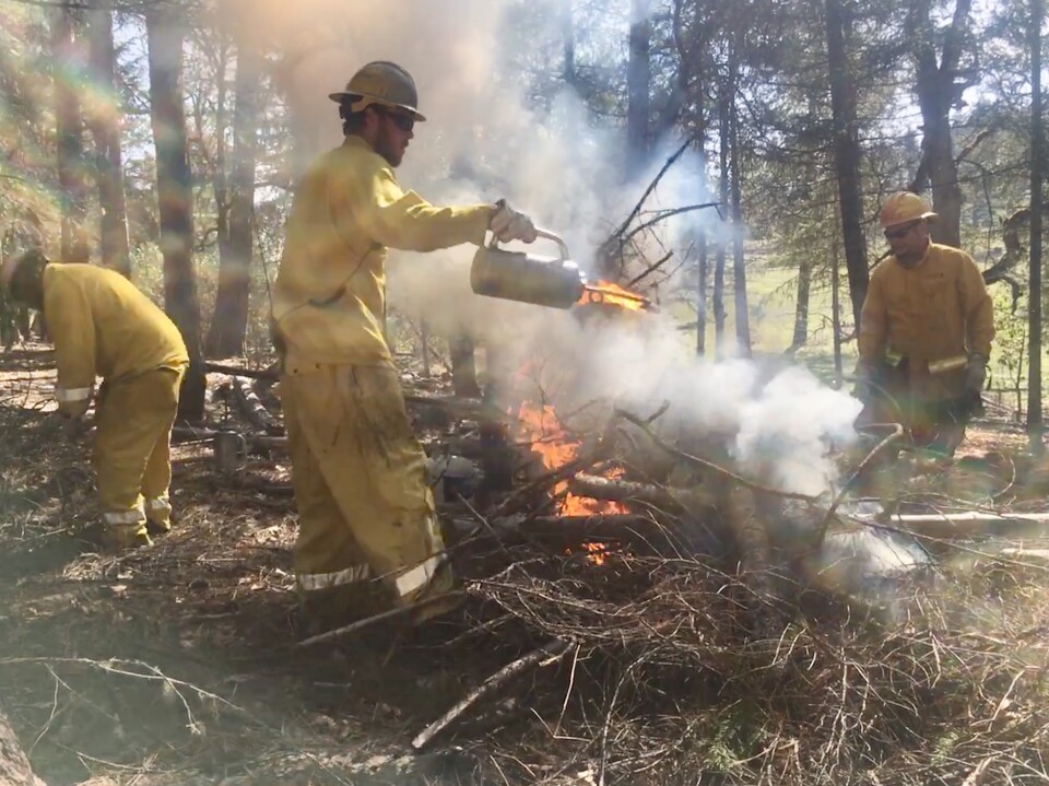 Personnel in yellow safety uniforms pour gas on a fire fed by branches and twigs