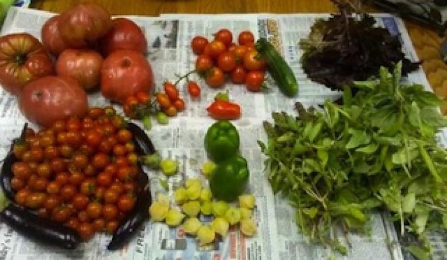 gary-harvest1.jpg