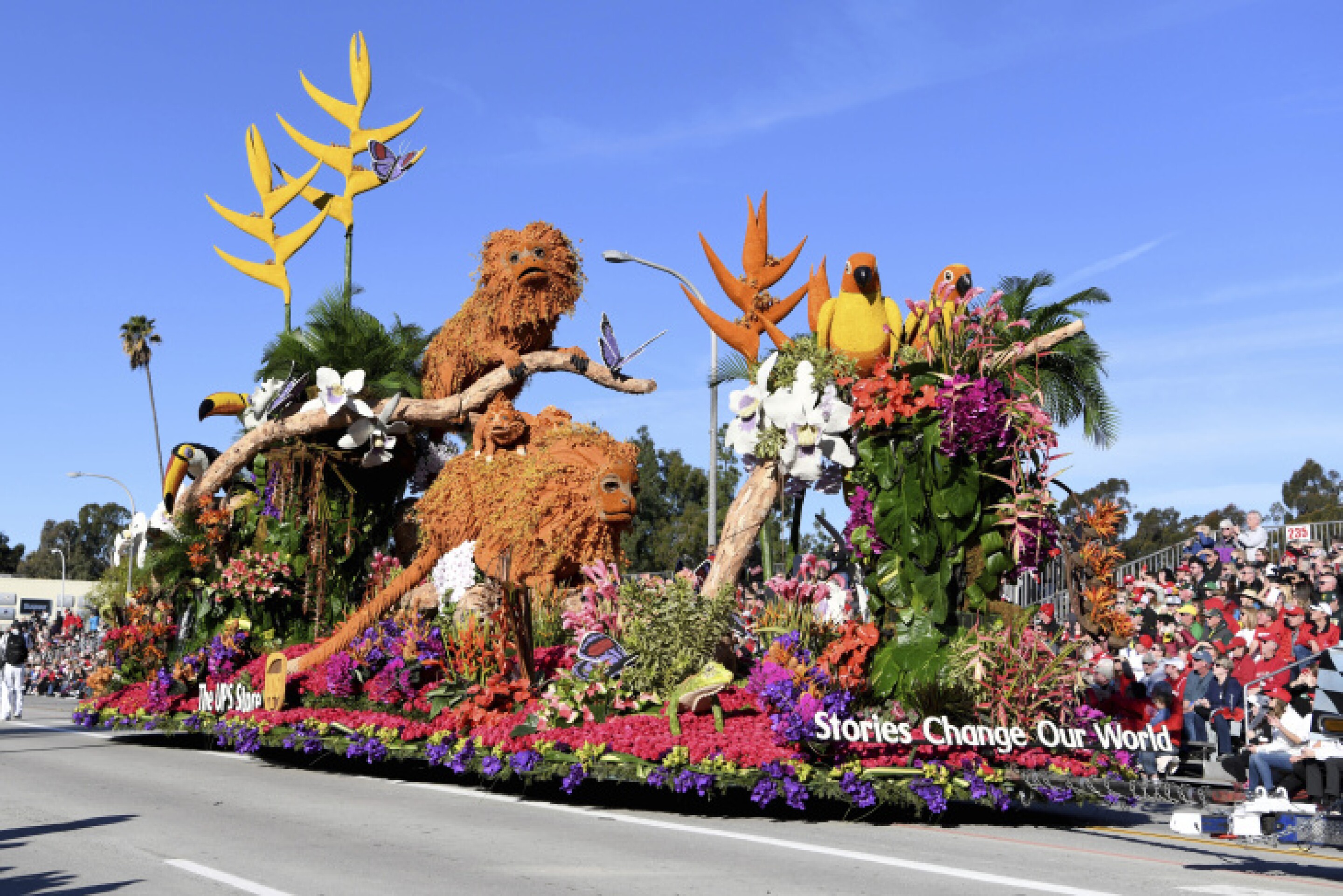 Highlights And Winners From The 2025 Rose Parade LAist