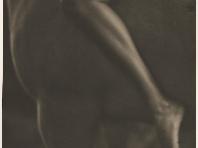 Horse and leg