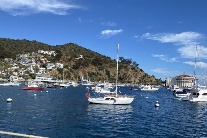 Avalon Harbor on Saturday August 19