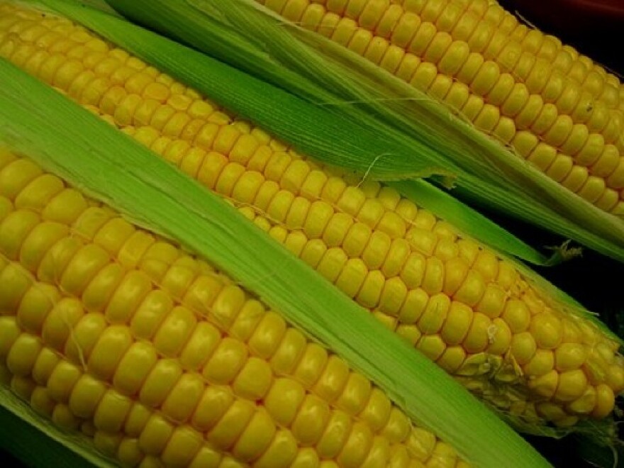 cornluckyrykinLA.jpg