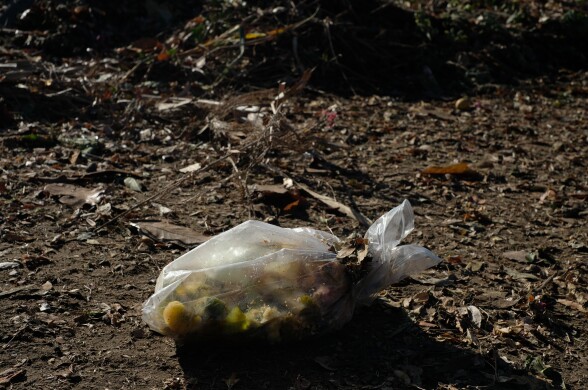 Food waste in a plastic bag on a dirt ground.