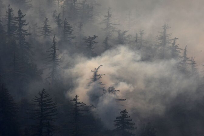 The Sheep Fire advances toward the evacuated mountain town of Wrightwood on October 4, 2009.