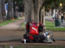 A homeless person sleeps under a tree, protecting himself against rain and cold, 17 January 2007 in Santa Monica, California. 
