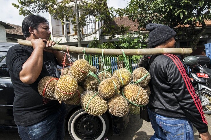 INDONESIAN FOOD
