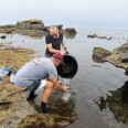 Marine biologist Greg Rouse and chemist Steve Taylor collect samples of seawater and sand from the tide pools near La Jolla's Bird Rock on Friday, July 17, 2026. The samples, or similar ones, will be part of a comprehensive biological library of California's tidal regions housed at the Los Angeles County Museum of Natural History.