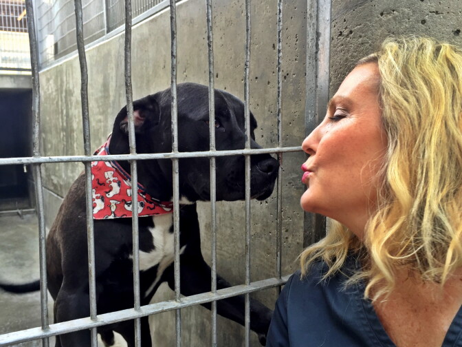 Laurel Birmingham and friend at the Pasadena Humane Society.