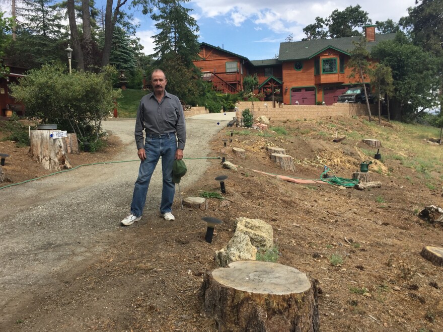 Mark Anderson stands in his yard in Bear Valley Springs. He has spent almost $70,000 cutting down dead trees around his house.