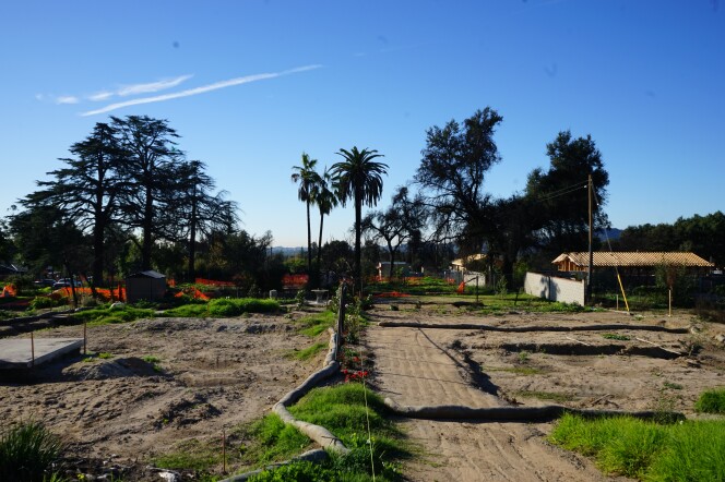 Two dirt lots next to each other are partially lined with trees and wooden stakes that mark the property edges. A building in the distance is partially built beneath a clear blue sky.