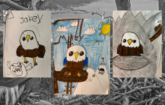Three kids drawings of bald eagles are sitting on top of a black and white background.