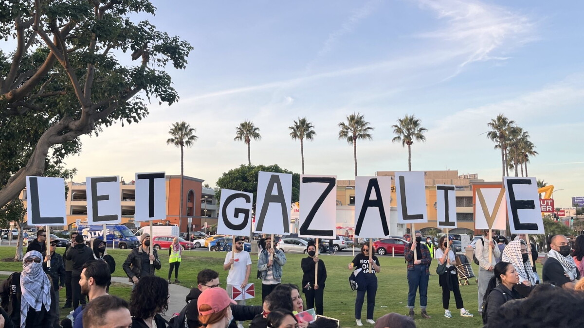 LAX Shut Down By Protest - Vimarsana News