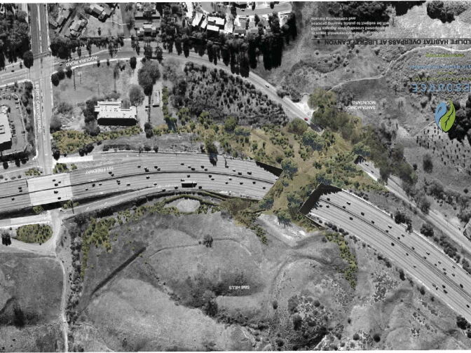 A mock drawing of the proposed wildlife corridor. On Friday, the conservation authority purchased the land connecting the Santa Monica Mountains and the Simi Valley, solidifying the necessary land to complete the project. 