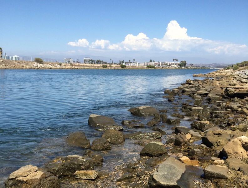 The Ballona Creek estuary, where fresh water meets the Pacific Ocean, forms an important nursery for some fish species.
