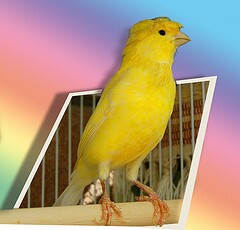 5b2bb80f4488b3000926908b-original.jpg