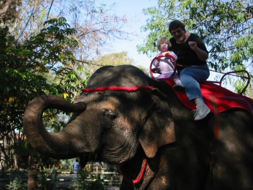 elephant-ride-santaanazoo.jpg