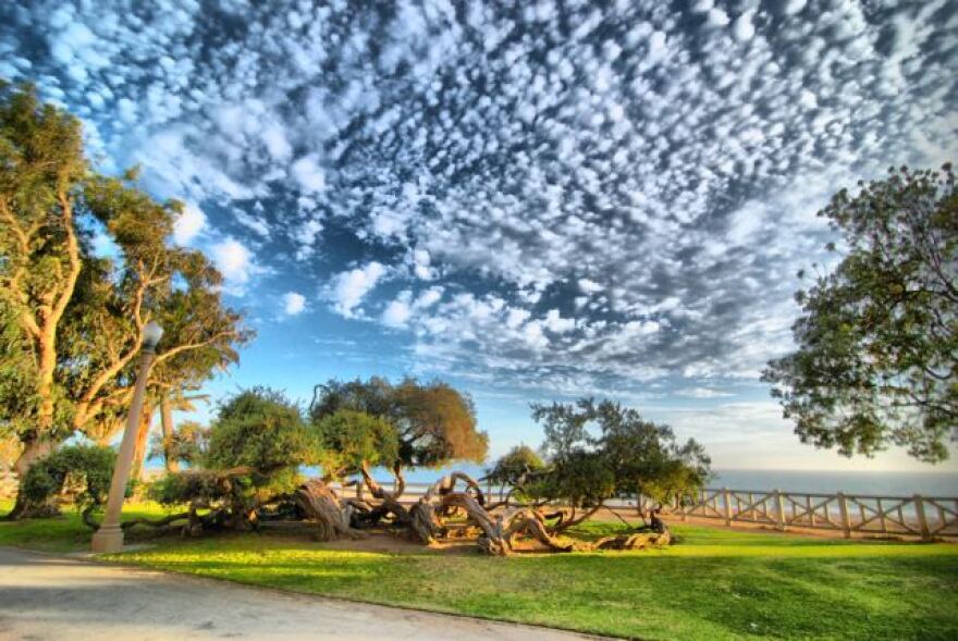 Santa_Monica_Sky.jpg
