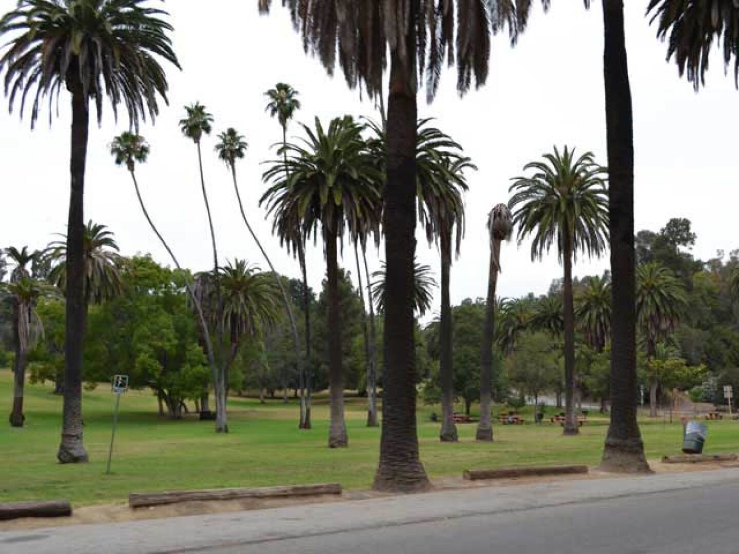 hp_elysian_picnicarea.jpg