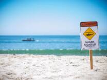 A shark advisory issued by the Long Beach Marine Safety Division.