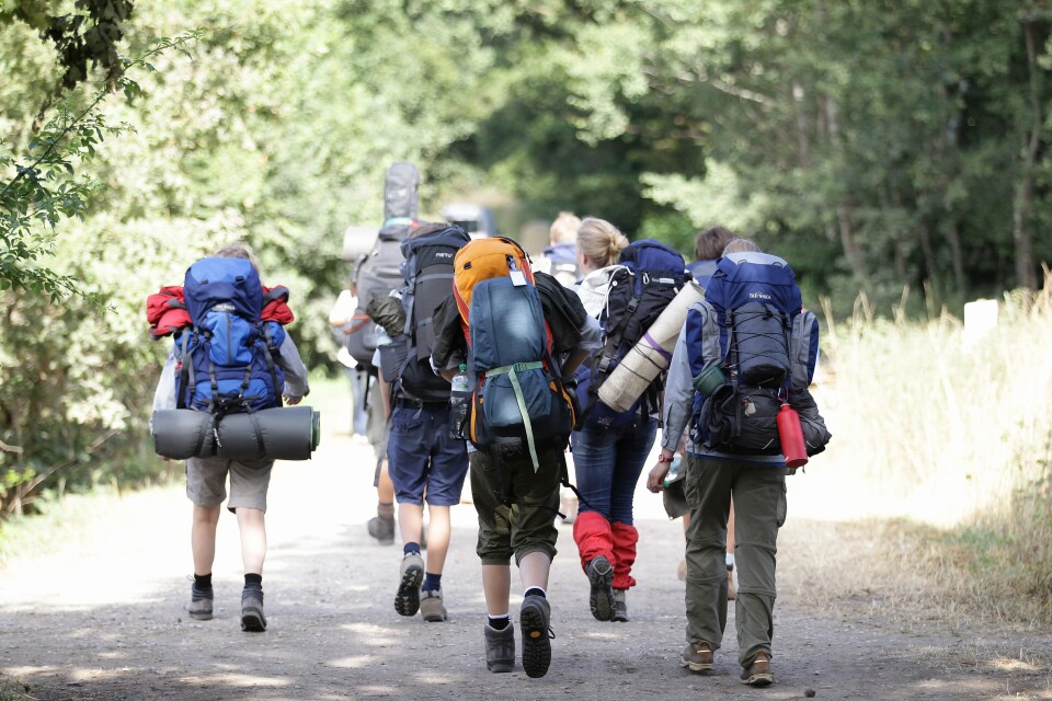 ALMKE, GERMANY - AUGUST 01:  Scouts hiking through a woodland on August 1, 2010 in Almke near Wolfsburg, Germany. About 5000 young scouts from Germany, Russia, Belgium, Suisse, USA and Italy aged 12 to 20 participate in a camp. Since 1973, the German VCP-Christian Guides and Pathfinders organisation, offers an International historic boys and girls scout meeting during the summer holidays. On a 25 hectare field include 1370 tens, a tent church and a tent theater. The Federal camp is held every four years.  (Photo by Andreas Rentz/Getty Images)
