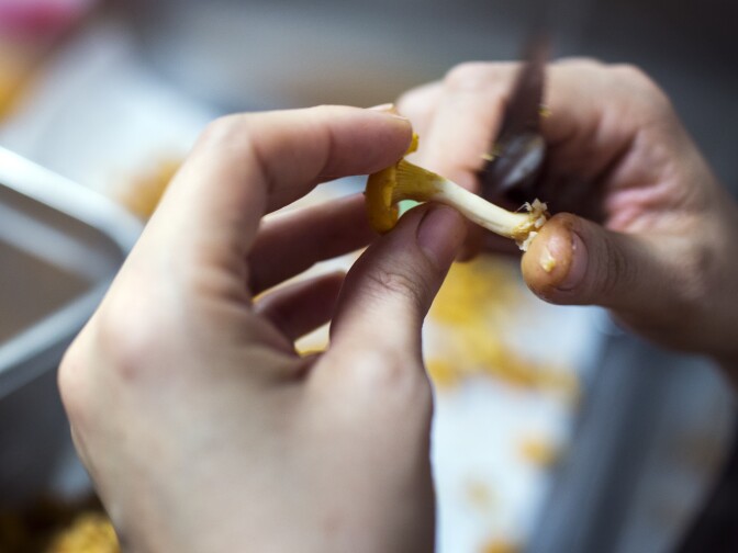 Kitchen staff clean chanterelle mushrooms at 71 Above, the new restaurant on the 71st floor of the U.S. Bank Tower in downtown Los Angeles, on Thursday afternoon, Sept. 22, 2016.