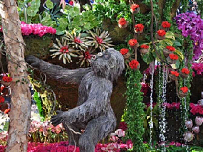 Rain Bird Corporation's "Mountaintop Majesty" 2010 Rose Parade float features an African rain forest, complete with 9 Mountain Gorillas made of Pharmitas grass, Spanish moss and black lichen.