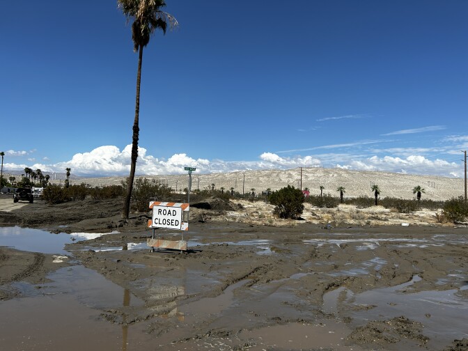 A residential road is unrecognizable covered in thick dark mud. A sign reads "road closed." Palm trees and desert mountains and blue skies in background. 