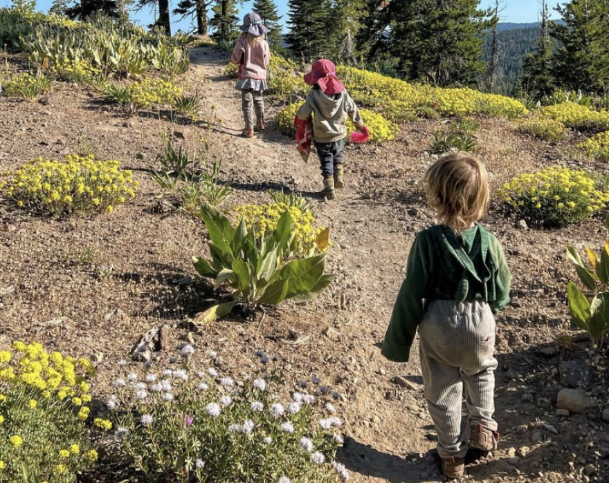 Three small children walk up a hill, one behind another behind another. The hill has white and yellow flowers here and there, and there are trees and more hills in the distance.