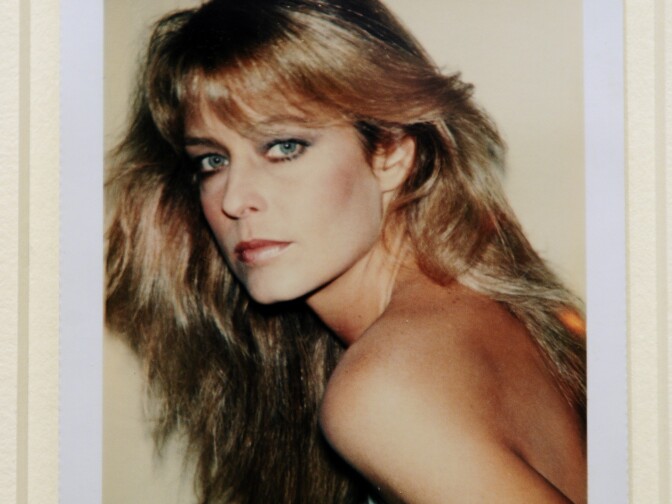 "Farrah Fawcett",  a Polaroid portrait by artist Andy Warhol, is displayed at Sotheby's during a preview of The Polaroid Collection, in New York, June 16, 2010. It was the basis for the Warhol painting in dispute.
