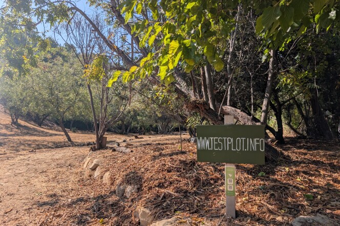 A wooded outdoor area with a dirt path, dry leaves, and scattered rocks. In the foreground, there's a green sign with white text that reads: "WWW.TESTPLOT.INFO"