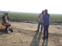 A volunteer with the advocacy group Central Coast Alliance United for a Sustainable Economy speaks with farm workers in a field near Oxnard in Ventura County last week while distributing face masks. Farm worker advocates say some field hands worked without protective masks despite the ash and smoke from the Thomas Fire.