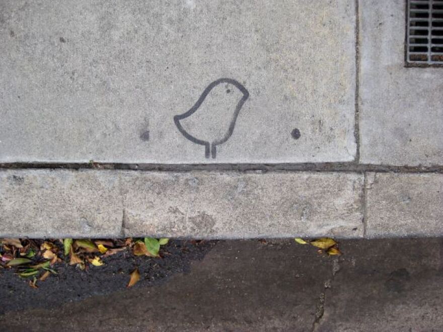 bird_on_labrea.jpg