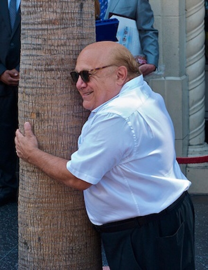 devito-treehugger.jpg