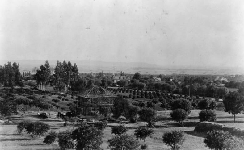 EARLY HOLLYWOOD DAEIDA