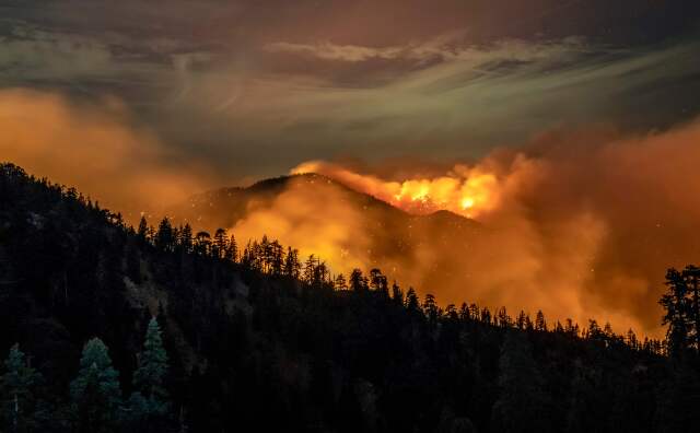 The Bobcat Fire burns through the Angeles National Forest on September 17, 2020.