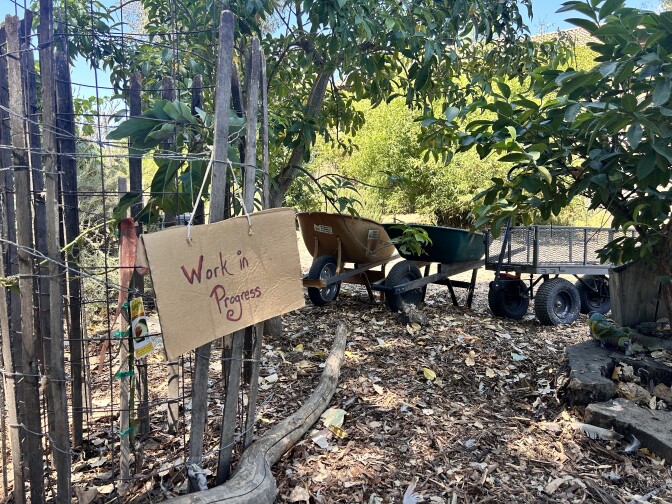 An outdoor garden space with a layer of wood chips coating the ground, leaves sticking out every which way, as well as a pair of wheelbarrows and a metal cart. A tree sprout can be seen closer to the camera, protected by a wall of organized sticks and mesh, with a cardboard sign that reads "Work in Progress" written in red marker.