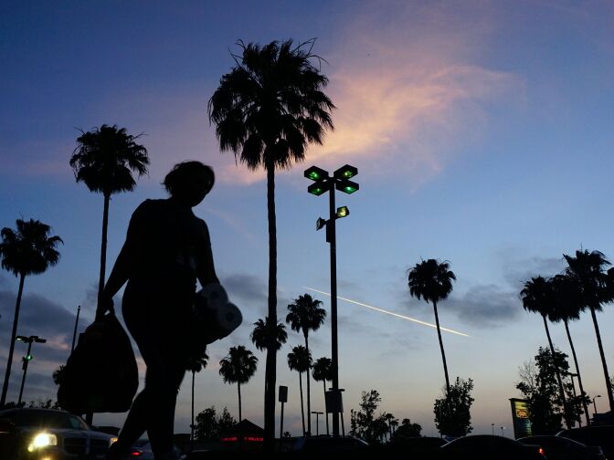 A woman carries her shopping past palm trees in Monterey Park, California shopping plaza on June 5 2017.
Despite the diverse and ubiquitous number of palm trees in the Los Angeles area, only one species, the California fan palm, is native to California, all others were imported and mostly planted in the early 20th century, from the slender Mexican fan palms to the Canary Island date palm with its feather top, soon outnumbering the native plant.  / AFP PHOTO / FREDERIC J. BROWN        (Photo credit should read FREDERIC J. BROWN/AFP/Getty Images)